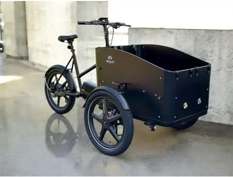 Economy Deluxe E-Cargo bike - 