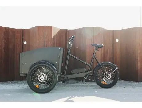 Economy Deluxe E-Cargo bike - 