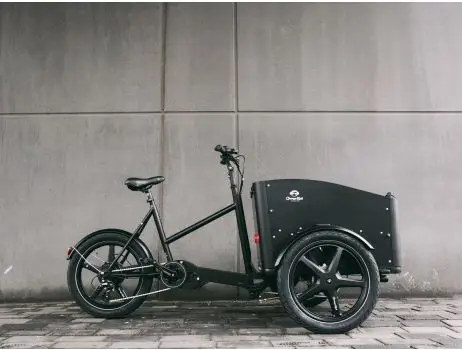 PRO PLUS Deluxe E-Cargo bike - 