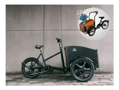 PRO PLUS Deluxe E-Cargo bike - 