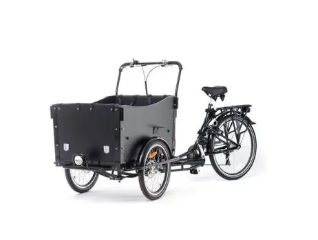 Economy Cargo bike - 